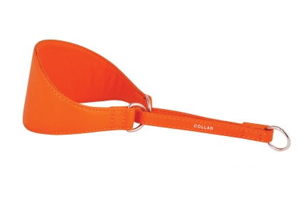 Collar Glamour ошейник-удавка для борзых 55мм 26-36см оранжевый