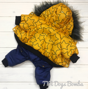 DOGS BOMBA Зимовий комбінезон хутро зірки жовте 6, 32-35 см
