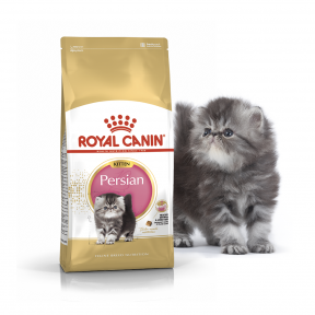 Royal Canin Persian Kitten для персидских котят 400g