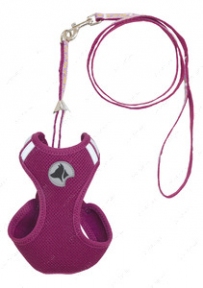 Croci Hiking Parure, набір, регульована шлейка + повідець, фіолетовий нейлон, M