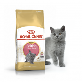 Royal Canin British Shorthair Kitten корм для котят британской короткошерстной 2kg