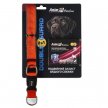 AnimAll VetLine Doudle Guard комплект нашийник з протипаразитною стрічкою.25мм 400-500мм  помаранчев