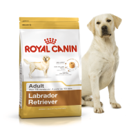 Royal Canin Golden Retriever Adult Корм для собак породи золотистий ретрівер від 15 місяців 12 kg