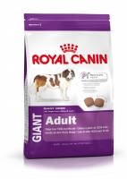 Royal Canin Giant Adult Корм для дорослих собак великих порід віком від 18/24 місяців 4kg