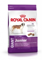 Royal Canin Giant Junior корм для цуценят собак дуже великих розмірів старше 8 місяців 4kg