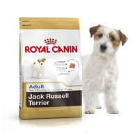 Royal Canin Jack Russell Terrier Adult Корм для собак породи джек-рассел тер'єр з 10 місяців 3kg