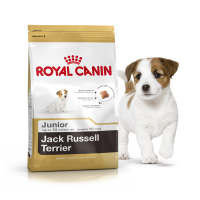 Корм для собак породи джек-рассел тер'єр до 10 місяців Royal Canin Jack Russell Terrier Junior 1,5kg