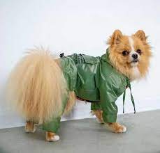 Dogs Bomba пальто M