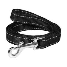 Collar Dog extreme нейлон подвійний М