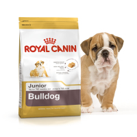 Royal Canin Bulldog Junor для щенят до 12 місяців 3kg