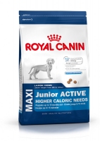 Royal Canin Maxi Junior Active Корм для щенков крупных пород до 15 месяцев 15kg