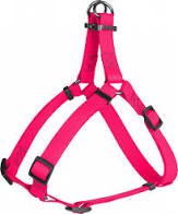 Collar WAUDOG Waterproof шлей водостійкий, метал. фурнітура (ш - 20мм, дл - 50-80см), рожева
