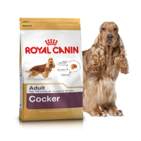 Royal Canin Cocker Adult корм для собак породи кокер спаніель 3kg