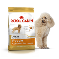  Royal Canin Poodle Adult для дорослих пуделів 500g