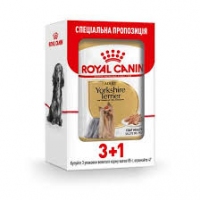 Акція Royal Canin Yorkshire Terrier 85g 3+1