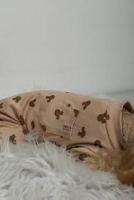 Dogs Bomba Пижама Міккі 9