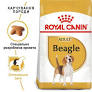 Royal Canin Beagle Adult корм для собак 3kg