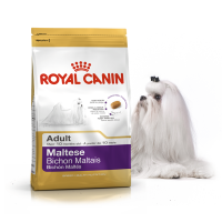Royal Canin Maltese Adult корм для собак породи МАЛЬТІЙСЬКА БОЛОНКА від 10 місяців 500g