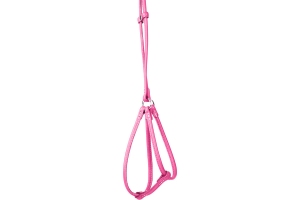 Collar Glamour Шлей кругла з повідцем рожевий 42-60см/46-64см